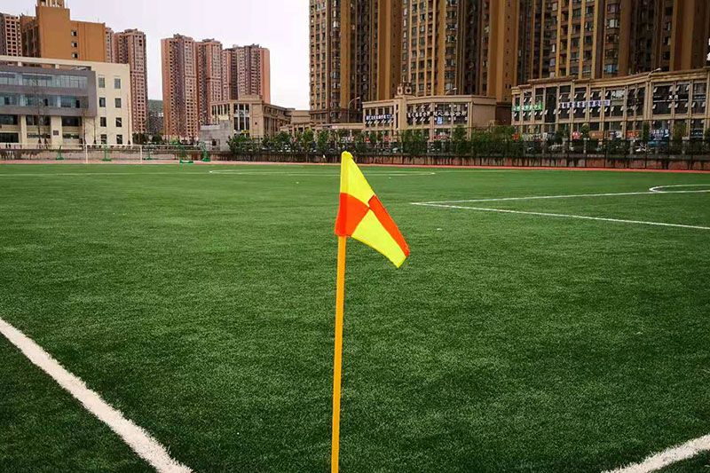 Lملعب مدرسة Leshan No 8 الإعدادية