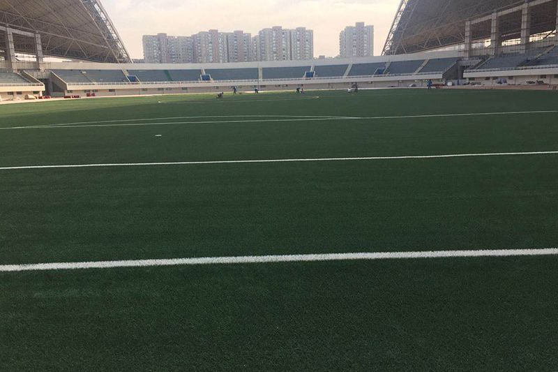 ملعب معهد Zhengzhou للتقنية التطبيقية الصناعية