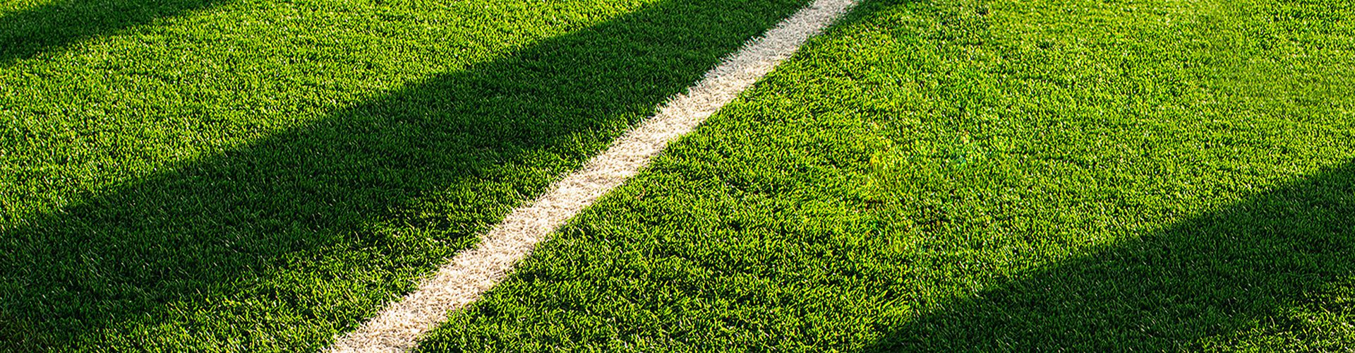 Leling Taishan Artificial Turf Industry Co.,Ltd.