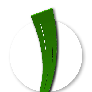 العشب الاصطناعي TS FFGREEN